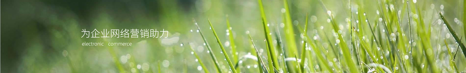 人ԾܿƼ޹˾